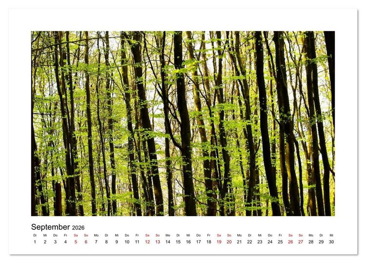 Produktbild: Zauberhafte Landschaften im Odenwald (Wandkalender 2026 DIN A3 quer), CALVENDO Monatskalender