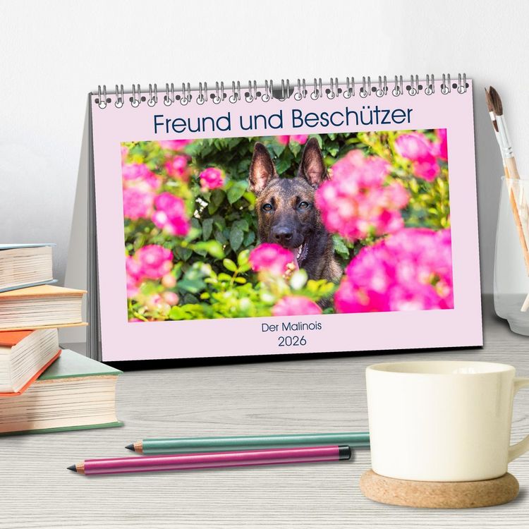 Produktbild: Freund und Besch&uuml;tzer - Der Malinois (Tischkalender 2026 DIN A5 quer), CALVENDO Monatskalender