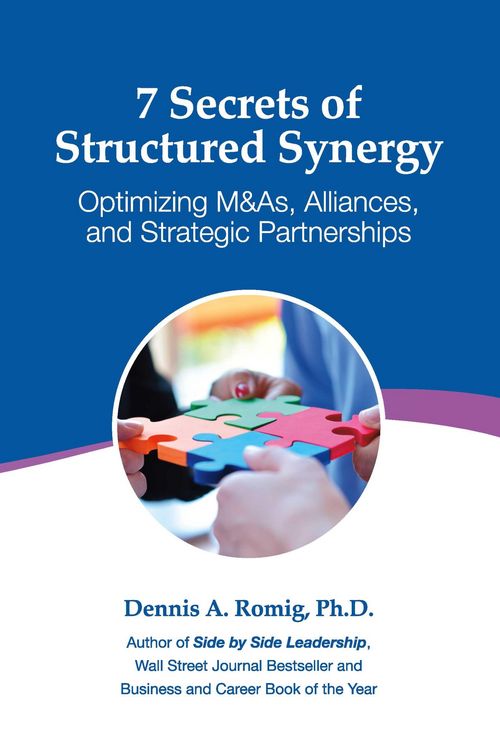 Produktbild: 7 Secrets of Structured Synergy