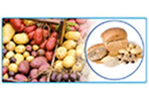 Produktbild: General Tests of Carbohydrates and their Identification
