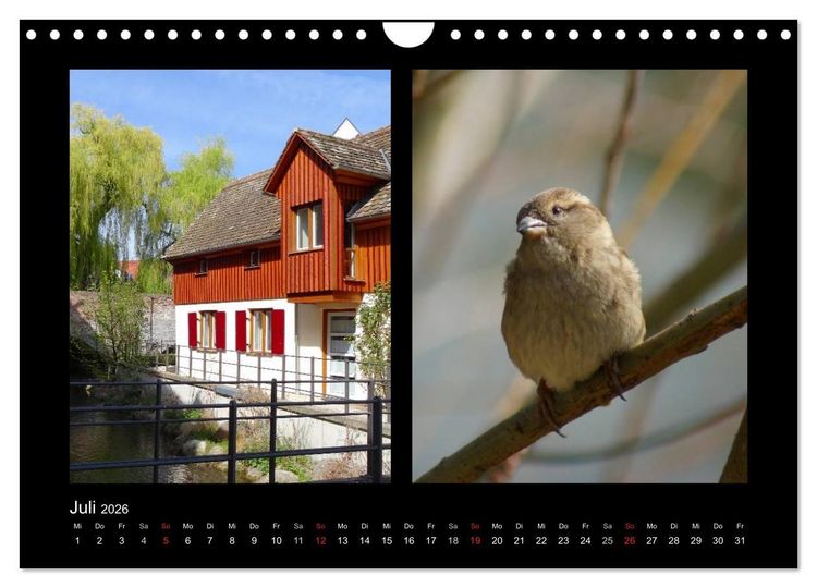 Produktbild: Ulmer Spatzen (Wandkalender 2026 DIN A4 quer), CALVENDO Monatskalender