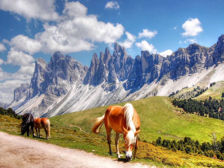 Produktbild: CALVENDO Puzzle Geisler Spitzen Nordw&auml;nde von der Rasch&ouml;tzalpe - Gr&ouml;den | 1000 Teile Lege-Gr&ouml;&szlig;e 64x48cm Foto-Puzzle f&uuml;r gl&uuml;ckliche Stunden