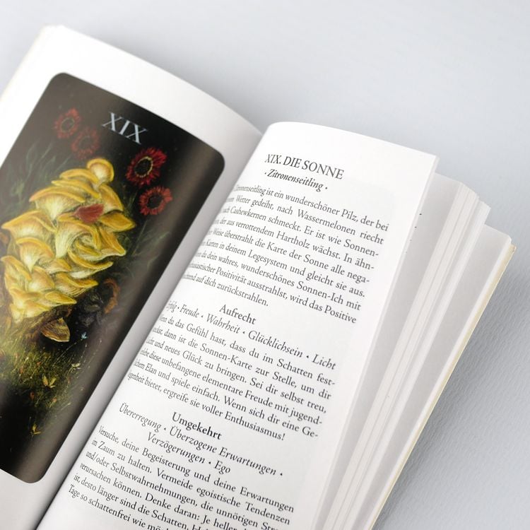 Produktbild: Mitternachtsmagie der Pilze