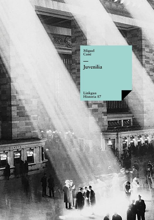 Produktbild: Juvenilia