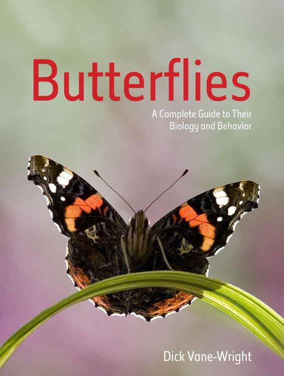 Produktbild: Butterflies
