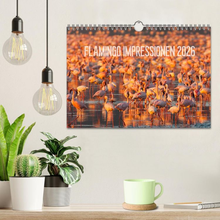 Produktbild: Flamingo Impressionen 2026 (Wandkalender 2026 DIN A4 quer), CALVENDO Monatskalender