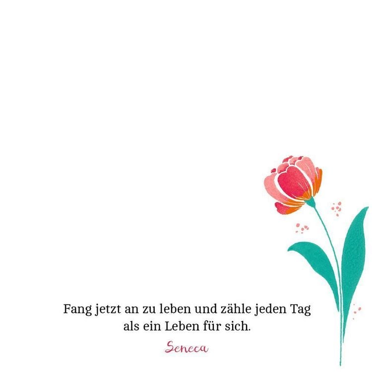 Produktbild: Zettelk&auml;stchen