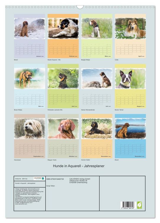 Produktbild: Hunde in Aquarell - Jahresplaner (Wandkalender 2026 DIN A2 hoch), CALVENDO Monatskalender