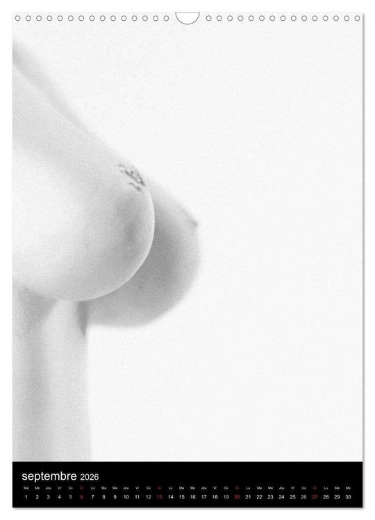 Produktbild: F&eacute;minit&eacute; (Calendrier mural 2026 DIN A3 horizontal), CALVENDO calendrier mensuel