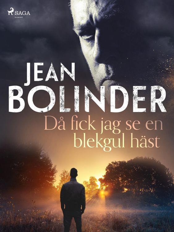 Produktbild: D&aring; fick jag se en blekgul h&auml;st
