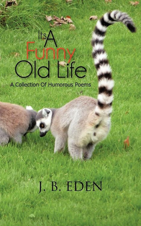 Produktbild: Its a Funny Old Life