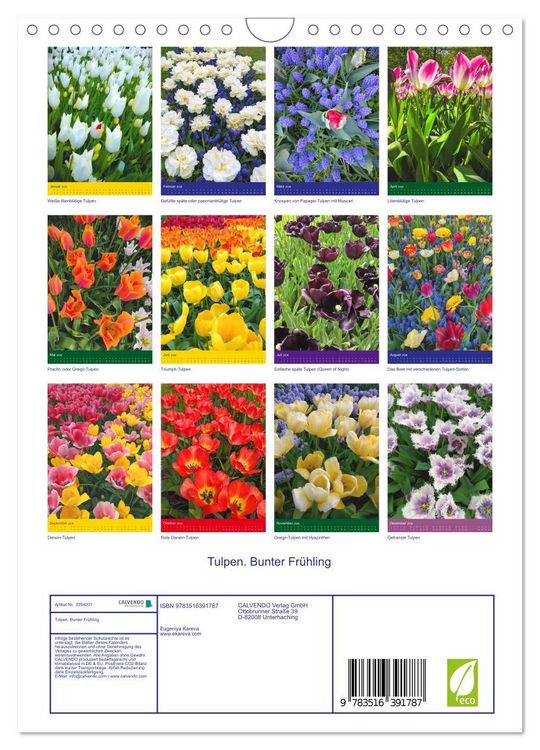 Produktbild: Tulpen. Bunter Fr&uuml;hling (Wandkalender 2026 DIN A4 hoch), CALVENDO Monatskalender