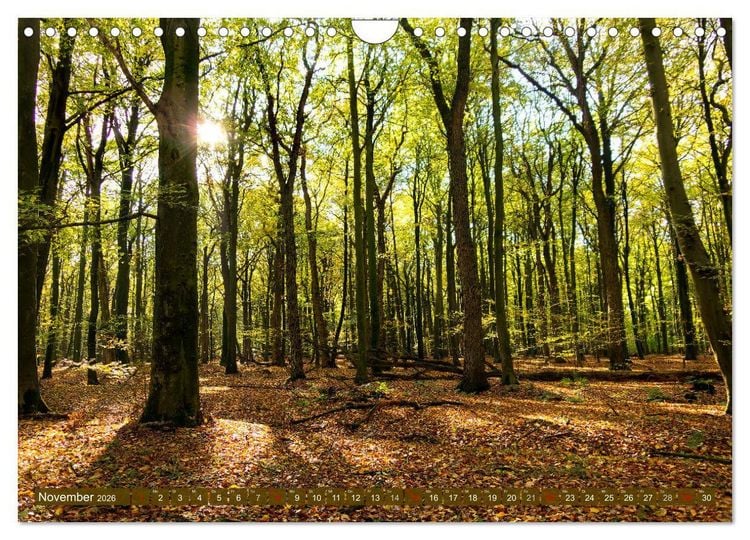 Produktbild: Bezauberndes Ostfriesland (Wandkalender 2026 DIN A4 quer), CALVENDO Monatskalender