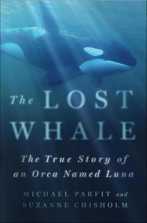 Produktbild: The Lost Whale
