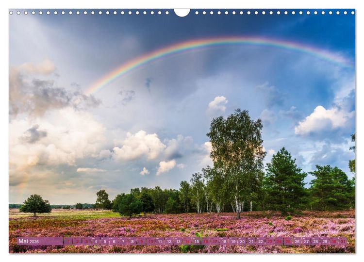 Produktbild: Romantische Heidebl&uuml;te (Wandkalender 2026 DIN A3 quer), CALVENDO Monatskalender