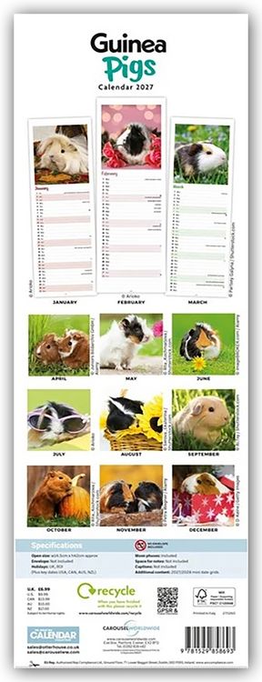 Produktbild: Guniea Pigs &ndash; Meerschweinchen 2027 &ndash; Slimline-Kalender
