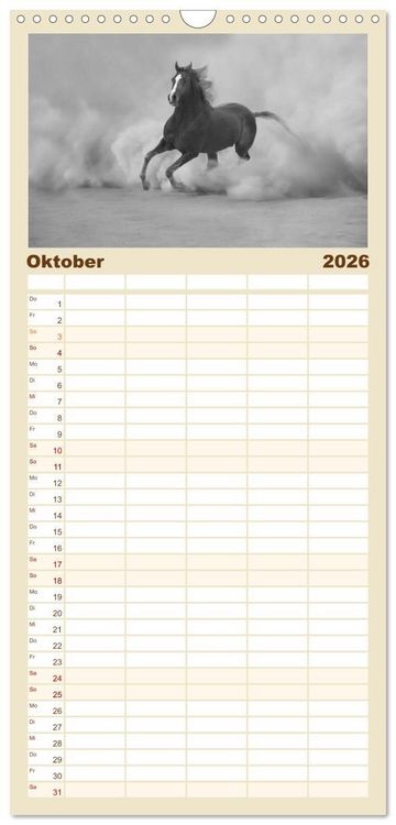 Produktbild: Familienplaner 2026 - Arabische Pferde mit 5 Spalten (Wandkalender, 21 x 45 cm) CALVENDO