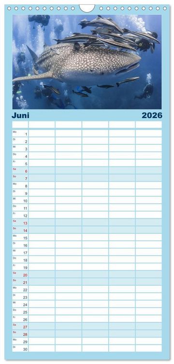 Produktbild: Familienplaner 2026 - Faszination Tauchen - Neptuns Reich mit 5 Spalten (Wandkalender, 21 x 45 cm) CALVENDO