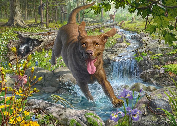Produktbild: PU1000T.M.Frederickson Hundeliebe, Fr&uuml;hlingsspaziergang mit Labrador Retriever