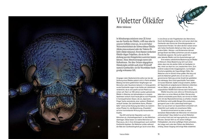 Produktbild: Von Angesicht zu Angesicht