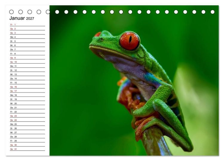 Produktbild: Costa Rica &ndash; Tierparadies im Regenwald (Tischkalender 2027 DIN A5 quer), CALVENDO Monatskalender