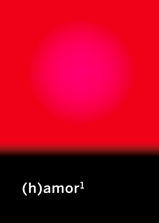 Produktbild: (h)amor1