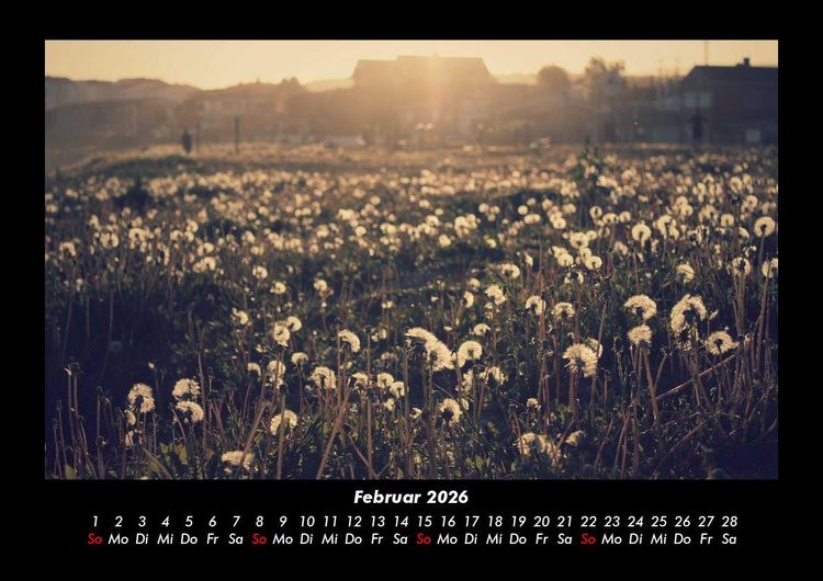 Produktbild: Blumenkalender 2026 Fotokalender DIN A3