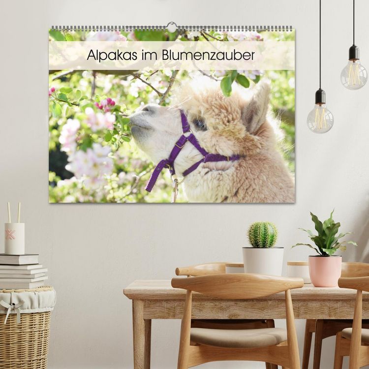 Produktbild: Alpakas im Blumenzauber (Wandkalender 2026 DIN A2 quer), CALVENDO Monatskalender