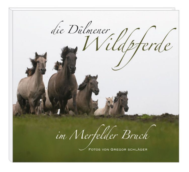 Produktbild: Die D&uuml;lmener Wildpferde im Merfelder Bruch