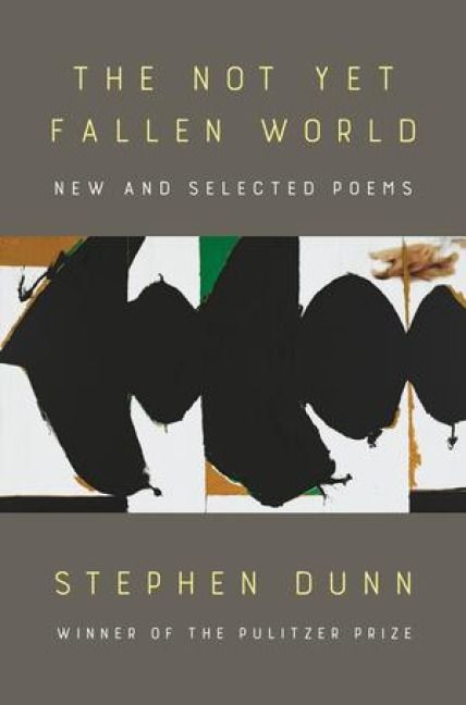 Produktbild: The Not Yet Fallen World