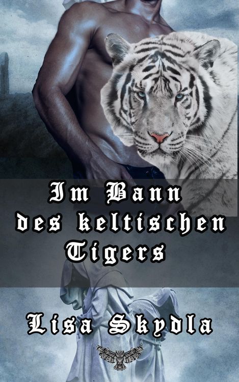 Produktbild: Im Bann des keltischen Tigers