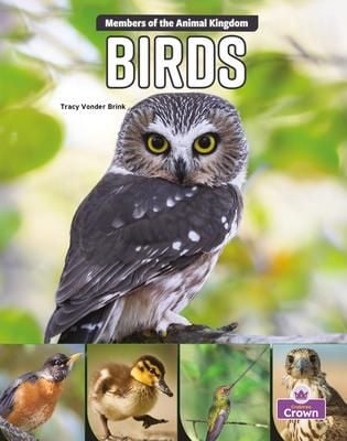 Produktbild: Birds