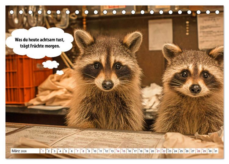 Produktbild: Stille Pfoten, weise Worte - Tiere zeigen dir den Weg zu mehr Gelassenheit (Tischkalender 2026 DIN A5 quer), CALVENDO Monatskalender