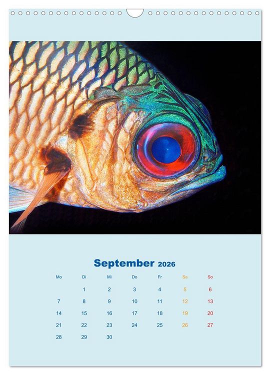 Produktbild: Portraitaufnahmen - Fische (Wandkalender 2026 DIN A3 hoch), CALVENDO Monatskalender