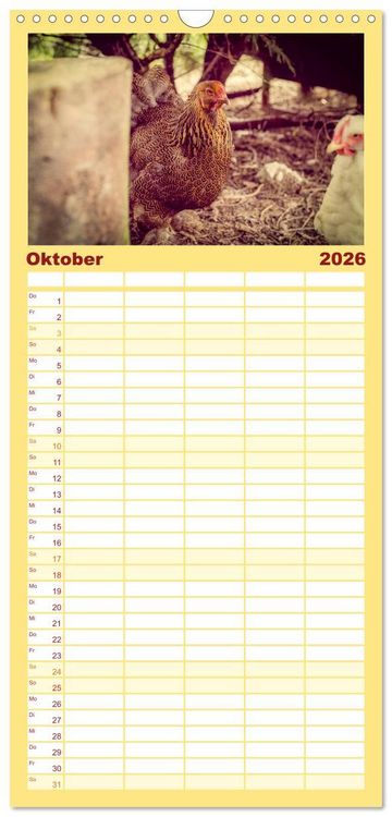 Produktbild: Familienplaner 2026 - H&uuml;hner in meinem Garten mit 5 Spalten (Wandkalender, 21 x 45 cm) CALVENDO