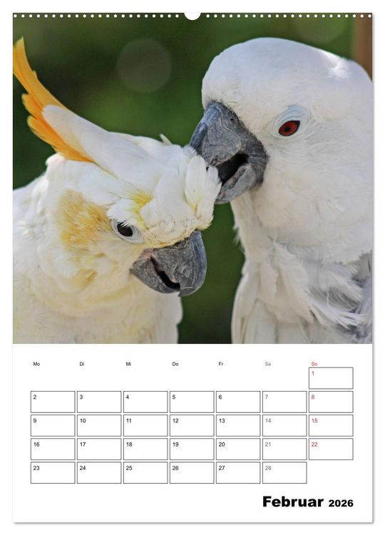 Produktbild: Papageien - Graupapagei, Rosella und Co. (Wandkalender 2026 DIN A2 hoch), CALVENDO Monatskalender