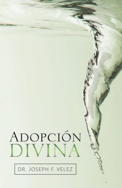 Produktbild: Adopci&oacute;n Divina