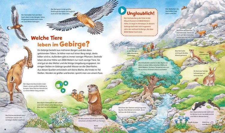 Produktbild: BOOKii&reg; WAS IST WAS Junior Erlebe die Natur!