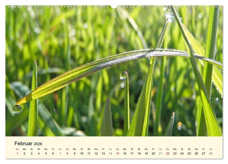 Produktbild: Kraftquelle Gr&uuml;n (hochwertiger Premium Wandkalender 2026 DIN A2 quer), Kunstdruck in Hochglanz