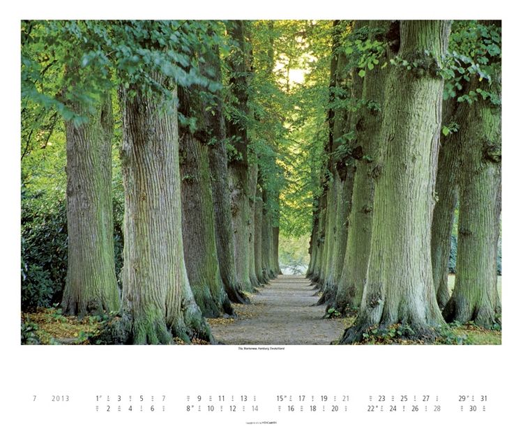 Produktbild: Alleen 2013