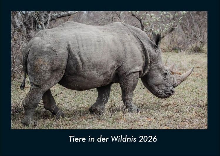 Produktbild: Tiere in der Wildnis 2026 Fotokalender DIN A4