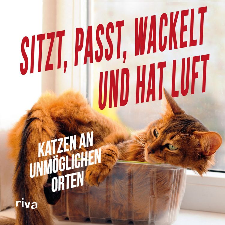 Produktbild: Sitzt, passt, wackelt und hat Luft