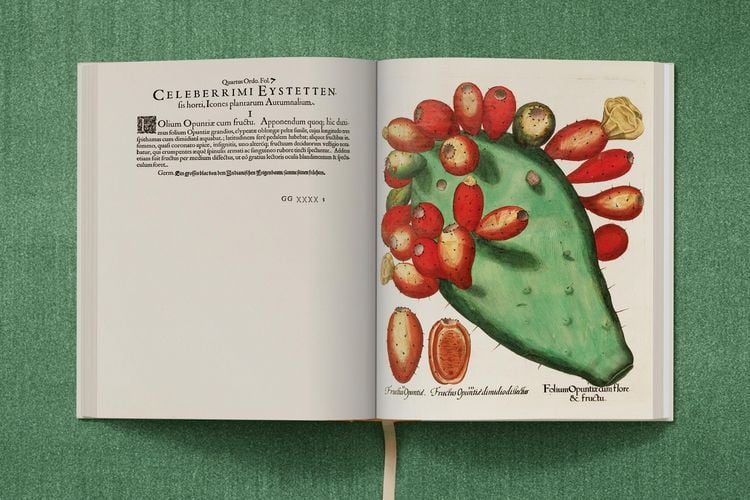 Produktbild: Basilius Besler. The Garden at Eichst&auml;tt