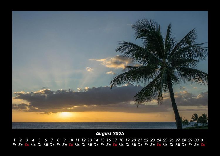 Produktbild: Palmentraum 2025 Fotokalender DIN A3