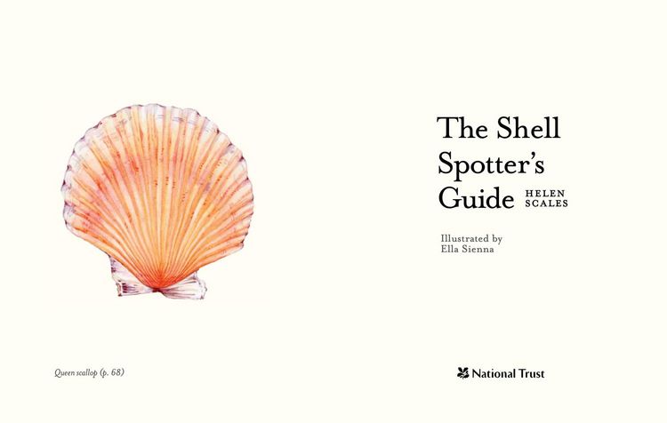 Produktbild: The Shell-Spotter's Guide