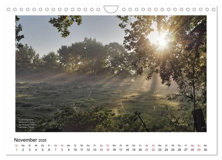 Produktbild: Rosenstadt Uetersen (Wandkalender 2026 DIN A4 quer), CALVENDO Monatskalender