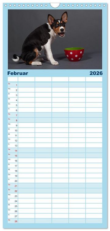 Produktbild: Familienplaner 2026 - Basenji-Sch&ouml;nheiten mit 5 Spalten (Wandkalender, 21 x 45 cm) CALVENDO