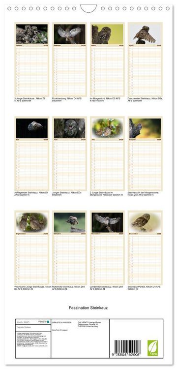 Produktbild: Familienplaner 2026 - Faszination Steinkauz mit 5 Spalten (Wandkalender, 21 x 45 cm) CALVENDO