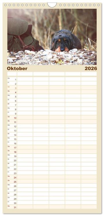 Produktbild: Familienplaner 2026 - Der Dackel mit 5 Spalten (Wandkalender, 21 x 45 cm) CALVENDO
