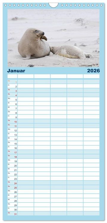 Produktbild: Familienplaner 2026 - Faszination Kegelrobben und Seehunde mit 5 Spalten (Wandkalender, 21 x 45 cm) CALVENDO